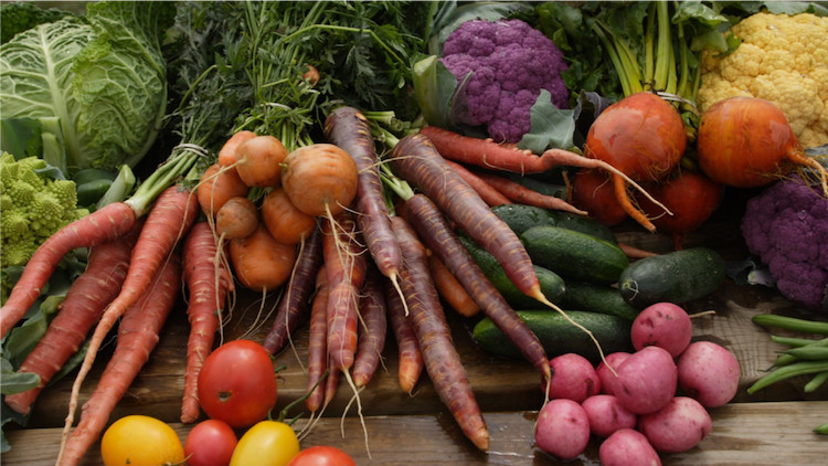 A colourful array of freshly picked produce from Riverbend Gardens