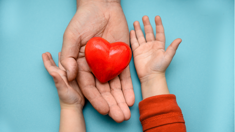 Close up of an adult's hand holding a replica heart with a young person's hands on either side on a light blue background