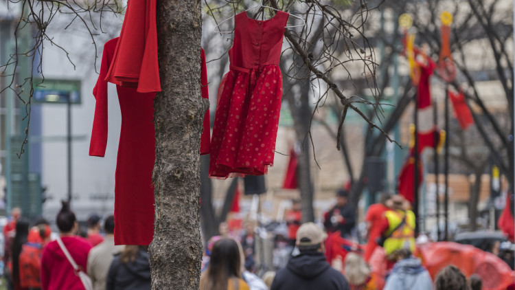 Photo of red dresses in trees