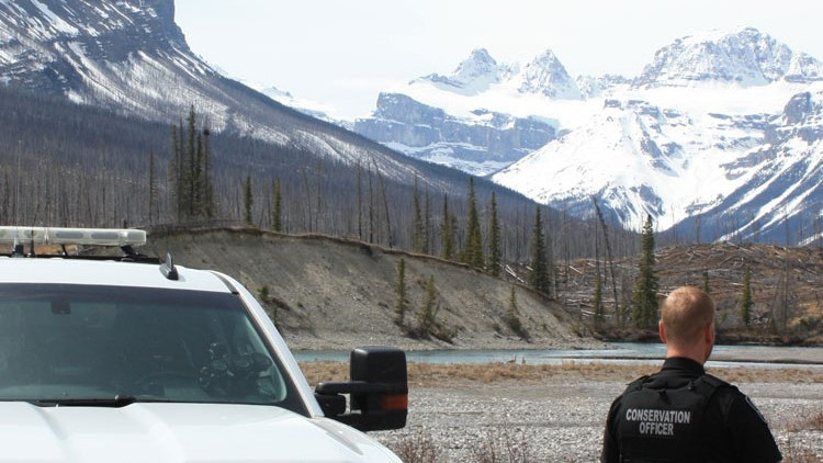 Conservation officer on patrol on public land near Nordegg, Alberta.