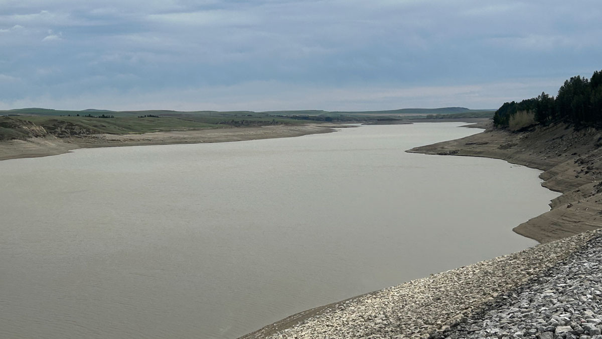 Crowsnest River/Oldman Reservoir