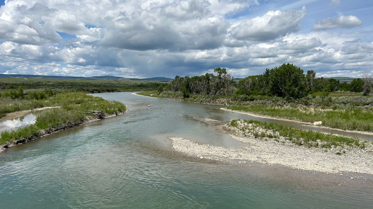 Oldman River at the Lethbridge North Irrigation District diversion