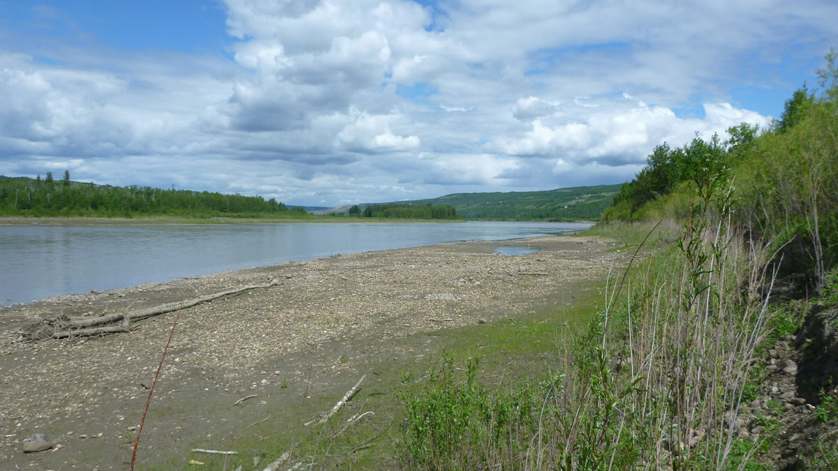 Peace River from the south side of the Normand Boucher Community Arboretum