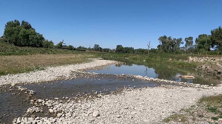 Willow Creek surrounded by rocks and trees