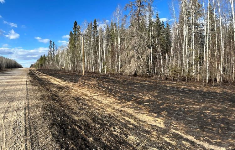 The grass is burned alongside the road. 