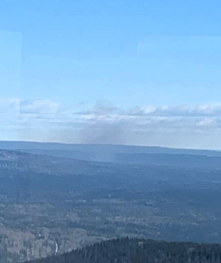Smoke in the distance above the tree tops.