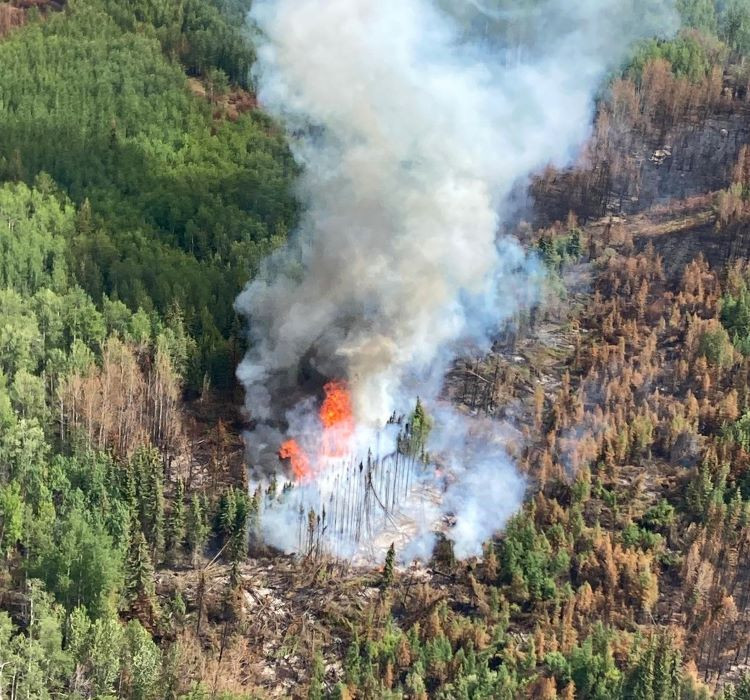 An aerial view of an active wildfire burning in a forested area. Tall flames and thick grey smoke rise from the center of the fire, surrounded by green trees and patches of scorched, brown vegetation.