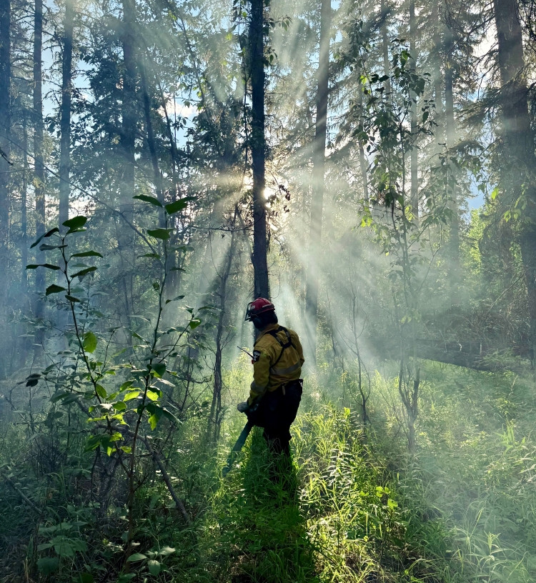 An Alberta Wildfire firefighter works among tall trees in the early morning light on wildfire GWF099, with sunbeams filtering through smoke and foliage. The firefighter is wearing a yellow long-sleeved shirt, green pants and a red hard hat. 