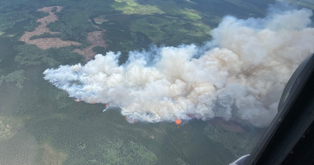 A plume of smoke rises from the trees. Orange flames can be seen at the base of the smoke.