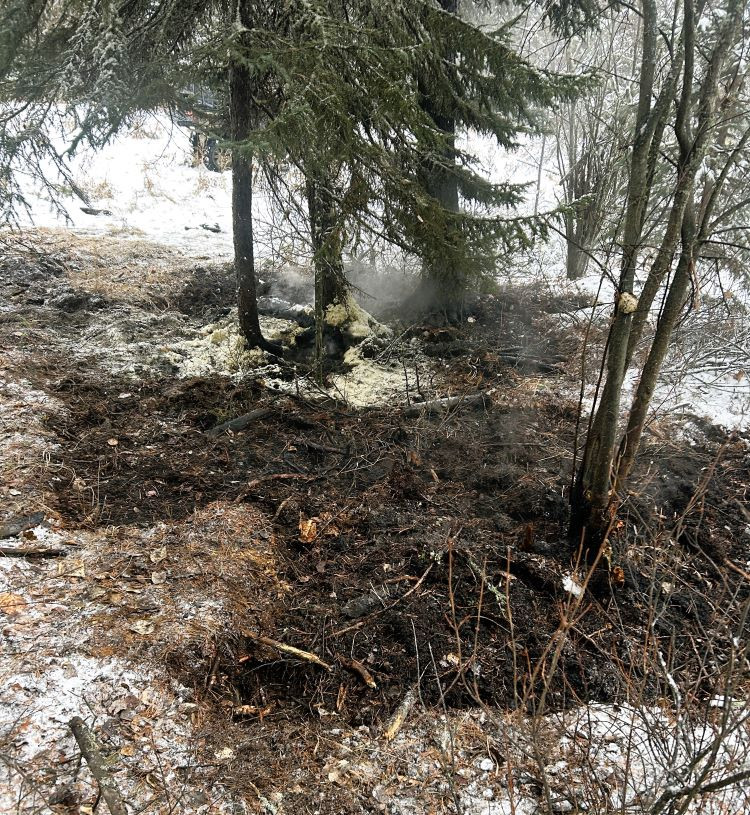 Dug up duff layer of soil that was burnt with smaller trees that are damaged. There's snow scattered around the burn area.