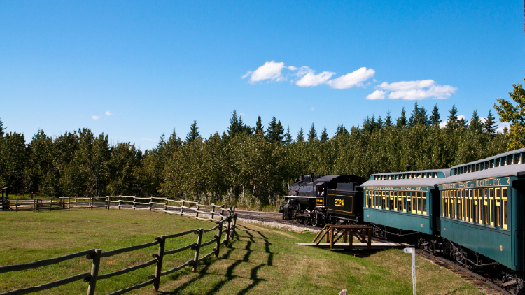 Old passenger train in Heritage Park rounds a corner with a fence in the foreground with trees and blue sky in the background.
