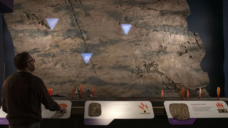 Man standing at a museum exhibit