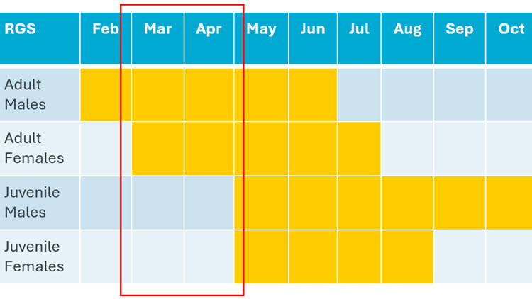 Chart: Richardson’s Ground Squirrels activity in yellow above ground. Red box indicates optimum time for chemical and physical control.