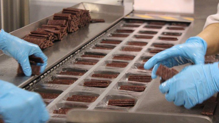 Photo of food manufacturing