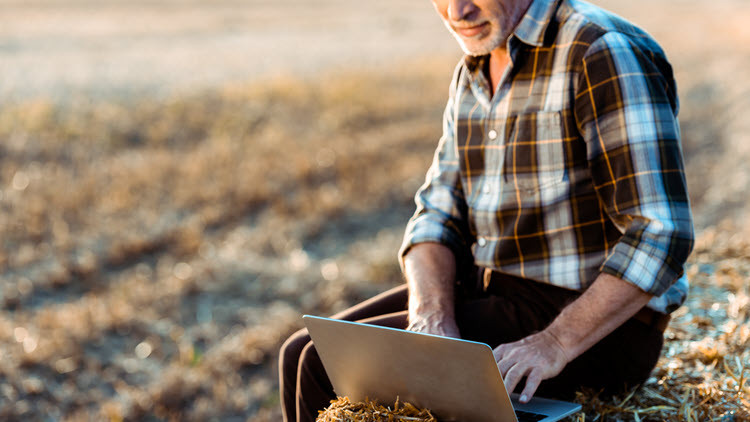 Man in field with laptop computer