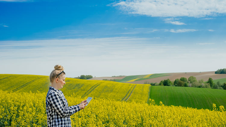 Photo of a woman in a canola field