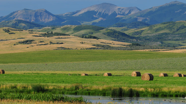 Landscape or water, green grass, rolls of hay and rolling hills and mountains under a blue sky