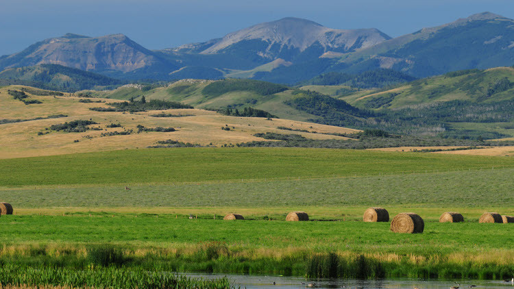 Waterbody, bales of hay in green field with hills and mountains in the distance, under a blue sky