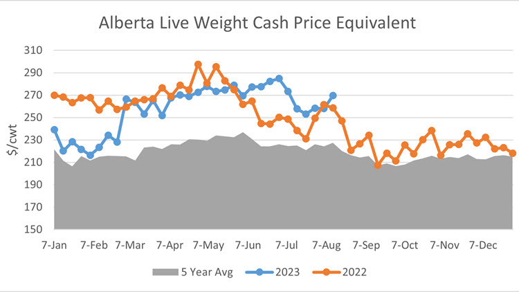 Alberta live weight cash price equivalent chart