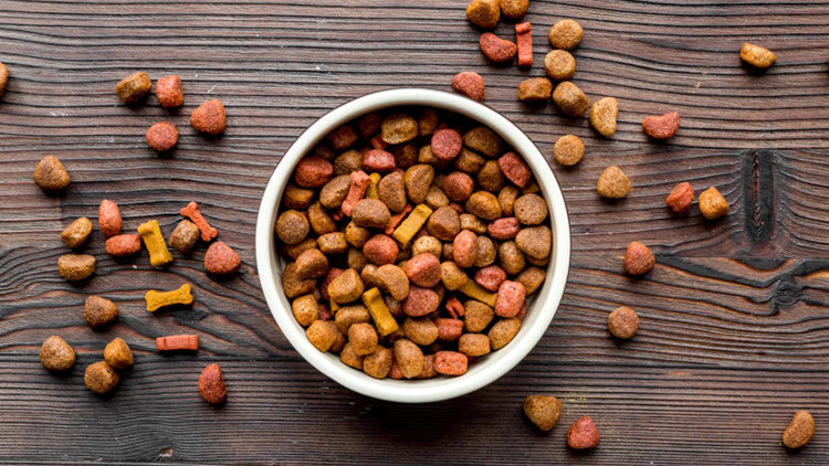 White bowl filled with dried brown pet food with pet food scattered on a wooden floor