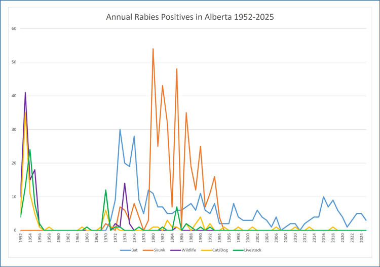 Line graph showing annual rabies positives in Alberta
