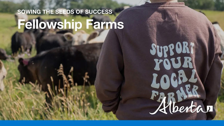 YouTube video thumbnail with text: Sowing the seeds of success: Fellowship Farms