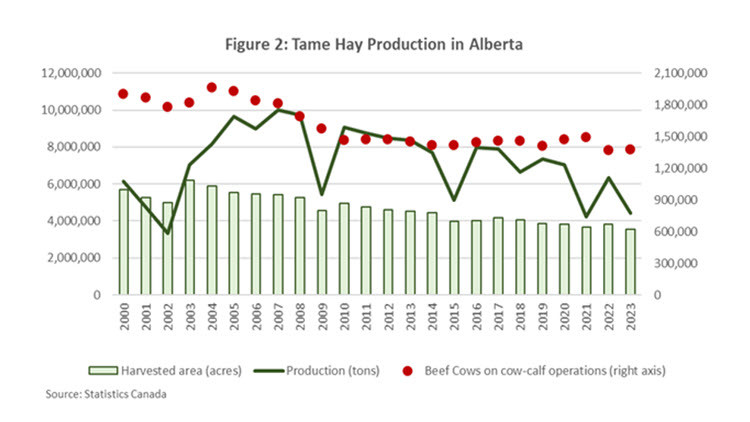 Image of a graph showing the Tame hay production in Alberta
