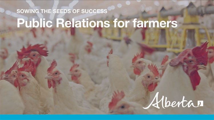 Video thumbnail with text: "Sowing the seeds of success - Public Relations for farmers" on a photo of roosters
