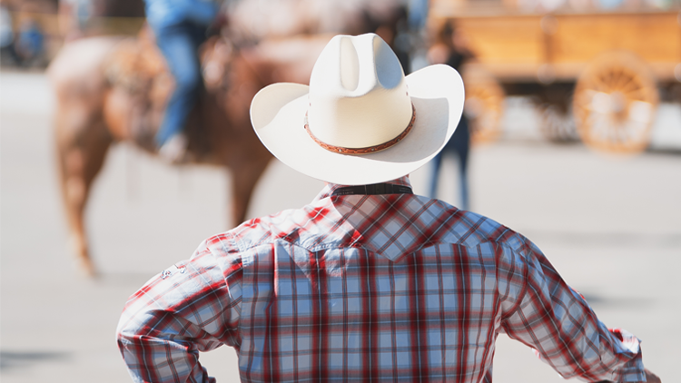 Back of a cowboy white hat, plaid shirt, horse rider in the background