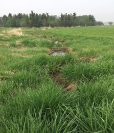 Aquaculture connectivity 2