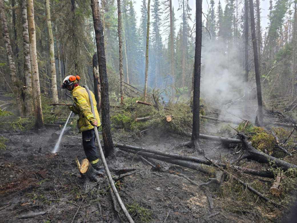 A wildland firefighter uses a hose to put out burning roots and other debris on the forest floor