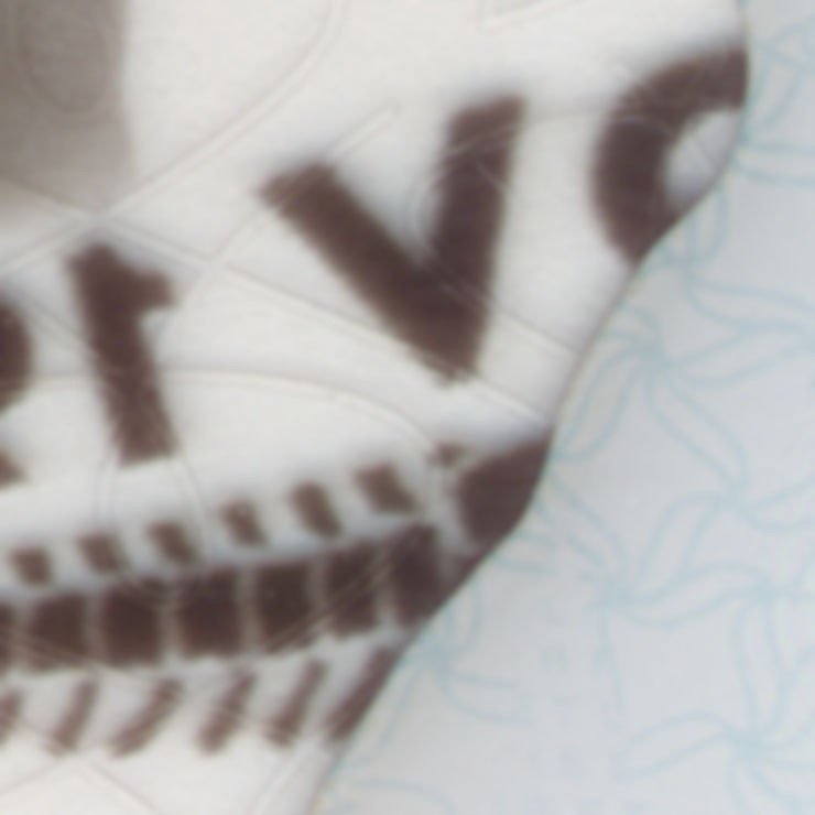 Close-up of Albertosaurus image on licence