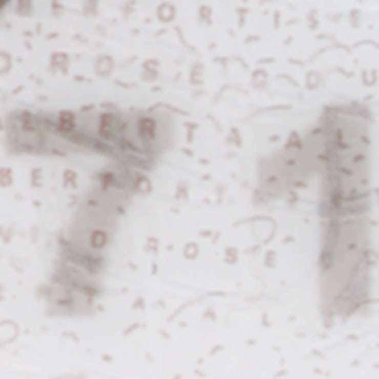 Driver's licence "ghost" date of birth