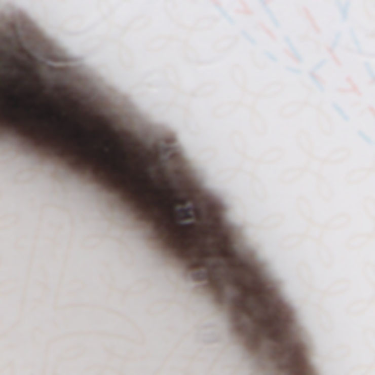 Close-up of primary licence photo