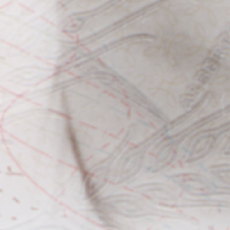 Driver's licence surface embossing