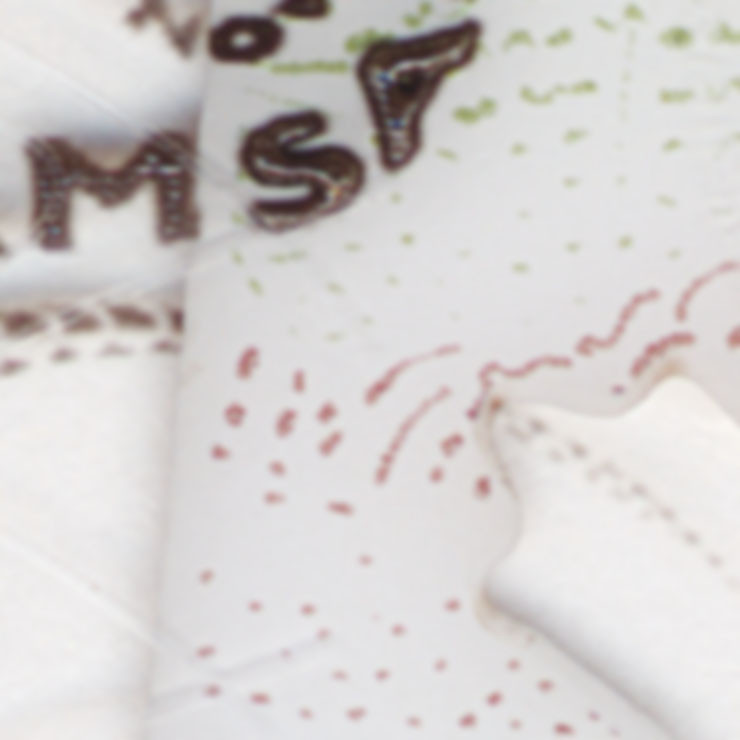 Driver's licence face windows