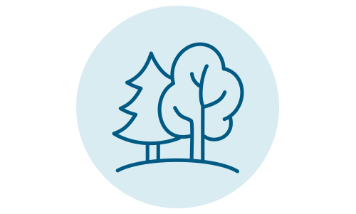 Trees icon