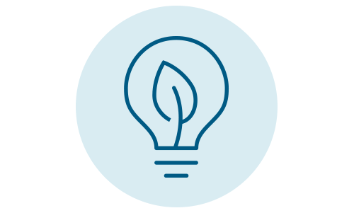 Lightbulb icon