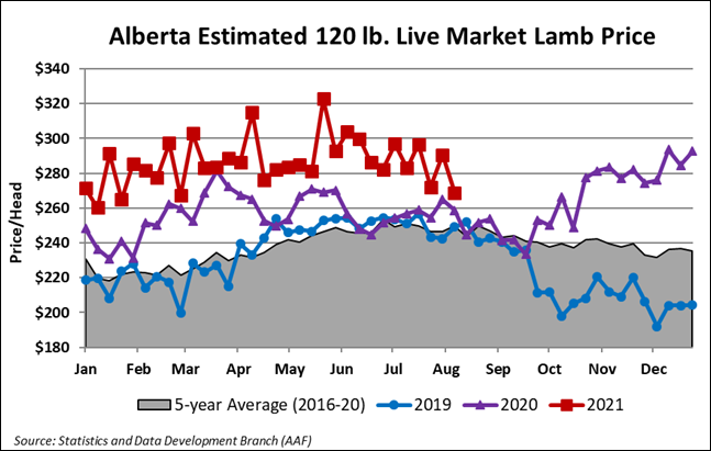 Graph of the live lamb market