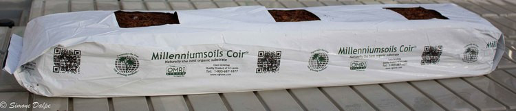 Close-up of conditioned bag