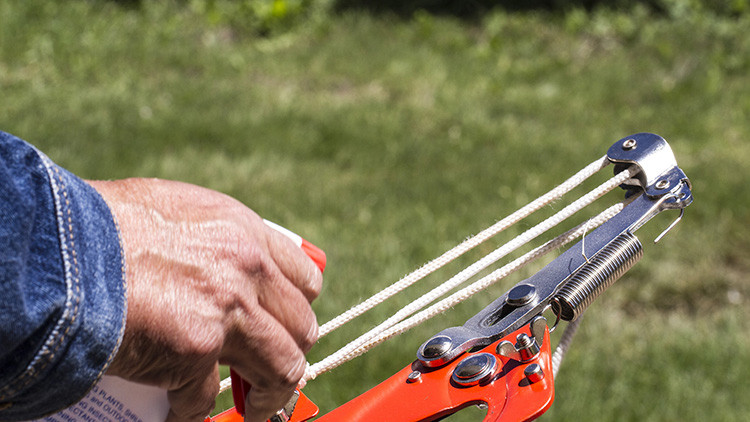 Photo of disinfected pruner