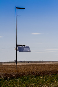Photo of a diamondback moth insect trap