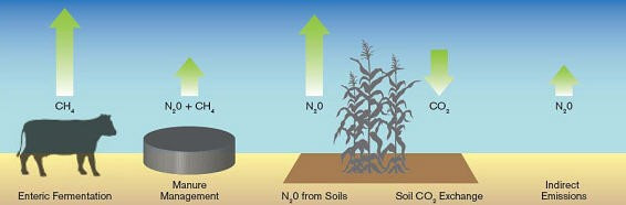 Types of greenhouse gases