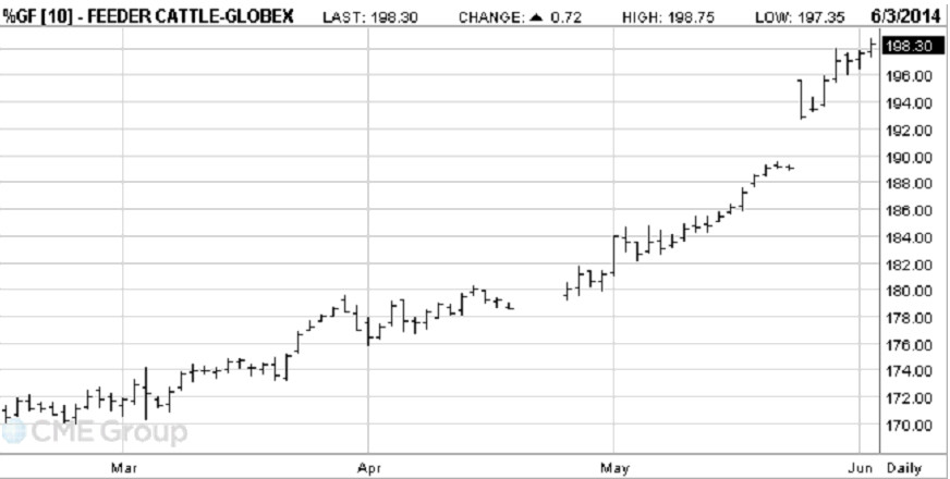 Graph showing CME live cattle futures contracts monthly highs lows and closes