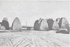 Sacks of creeping red fescue on the farm of John Foster