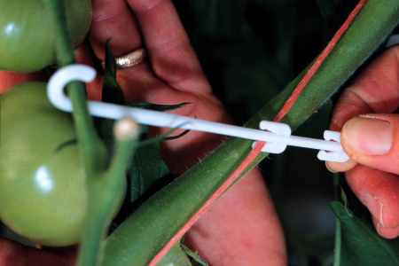 Truss supports are usually placed on the first eight trusses in order to prevent truss kinking.