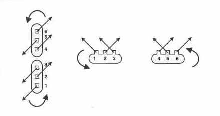Overhead and side views of the V-training system for tomato plants grown in single rows.