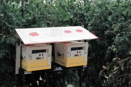 An electric "bee" pollinator