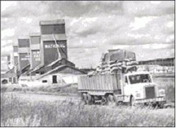 Truck loaded with jute bags of creeping red fescue seed