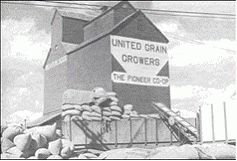 United Grain Growers